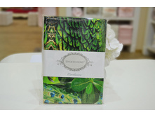 TIVOLYO HOME ��������� VENTURE ISLAND 50�70