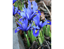 ���� �������� ������� 5-6 (10��) ������ ���� 110,46 ���. ����� ���� 93,89.jpg