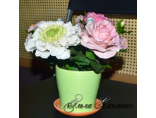 ���������� ������� ������ ���� 2.jpg