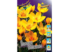 9,13���. ������ ������ ������(���������� ������ ������ ���������� �� 10 ��.).jpg