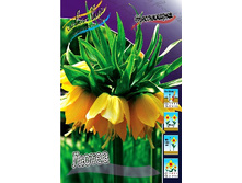 123���. ����������� �����(�������� ���� �� 2 ��., ����������� ����� 1��.).jpg