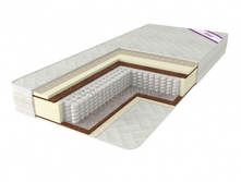 ������ ����