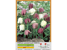 ������ ��������� 6-8 (10��) ������ ���� 131,42 ���. ����� ���� 111,71 ��� .jpg