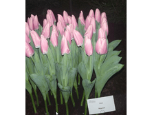 ������� ������ ��� ��������� ������ ����� ������ �� ���������.png