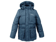 ������ ��� ���. ��31006 2, 4625+%