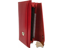 ������� ������� 309 ������� (250 ���).jpeg