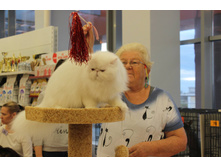 14324344 1102189703196415 2764225820927102441 o.jpg