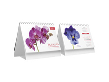 ���������-����� �����, ��������������, �� ������, 2017 �. 28,06.jpg