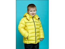 530.  ����	1650