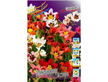 3,84���. ��������� ��������, �����(���������� ������ ������ ���������� �� 15 ��.).jpg