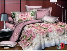 ����� 66.jpg