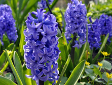 ������� ���� ������ 14-15 ������� (5��) ������ ���� 169,51 ���. ����� ���� 144,08 ���.jpg