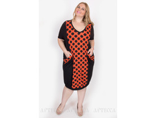 ������ V366.6