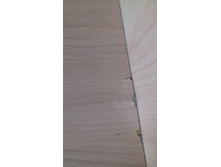 20160914 143126[1].jpg