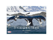 ��������� ������. �������. �� ������ ����������� �� �����, 49-34 ��, � �������, 2017 �. 111,02.jpg