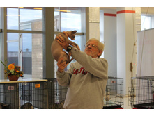 14231772 1102191919862860 4081934785520568015 o.jpg