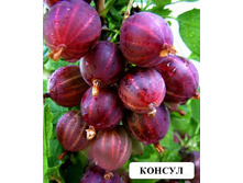 ��������� ������ �2-220�.jpg