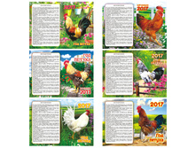 ��������� ������� ��������� ������ ���� - ������ , �������, 2017 �. 2,55.jpg