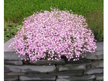 �.���������-�������-������� ���. ����. ����� ������ �� ���������.jpg