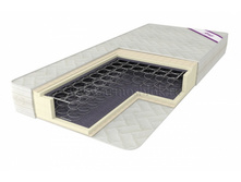 ������ �����