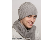 ������ ������ ���� 410