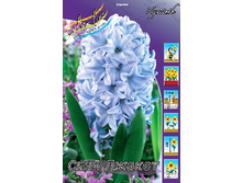 ������� ���� ������ 19,6(�������� 5 ��).jpg