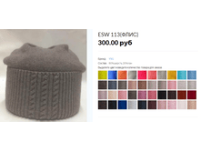ESW 113.PNG