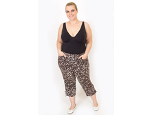 ������ V085/2.3