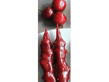 �������� � ������ - ������� ����