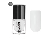 Gloss GEL 529.jpg