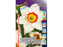 69,77���. ������� ������ ���� �� �������(�������� ���� �� 3 ��., ����������� ����� 1��.)���15.jpg