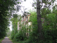 IMG 6966.JPG
