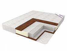 ������ �����