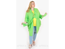 ������� V25.9