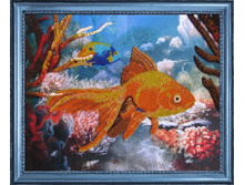 ����� ��� ��������� BUTTERFLY ���. 556 ����� 25�25