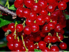 ��������� ��������� �2-190�.jpg