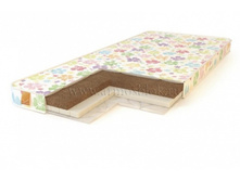 ������ Baby SEASON