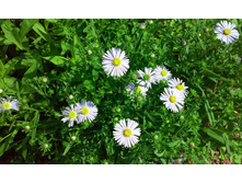 ��������������2