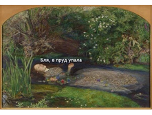 12803123 1107101569308484 3316016262557225436 n.jpg