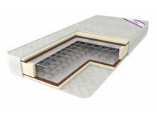 ������ �����