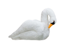 ������ ������ �����.jpg