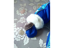 IMG 20160916 131241.jpg