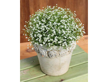 �.��������� ���������� ���. ����. ����� ������ �� ���������.jpg