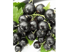 ��������� �������� (������������ ����) �2-180�.png