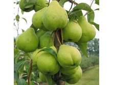 ����� ������������ ����-160�.jpg