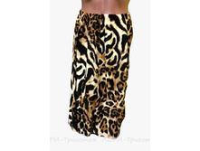 ���� V011.12