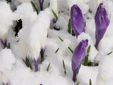 ���������� �������� ���� ���������.jpg