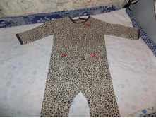 �������� ����������