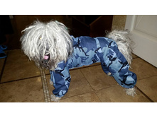 ����� � ���������.jpg