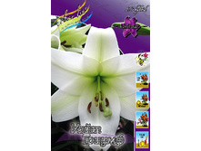 23,33���. ����� ���� ������(��� 4 ��. ���������� ������ 2 ��.).jpg